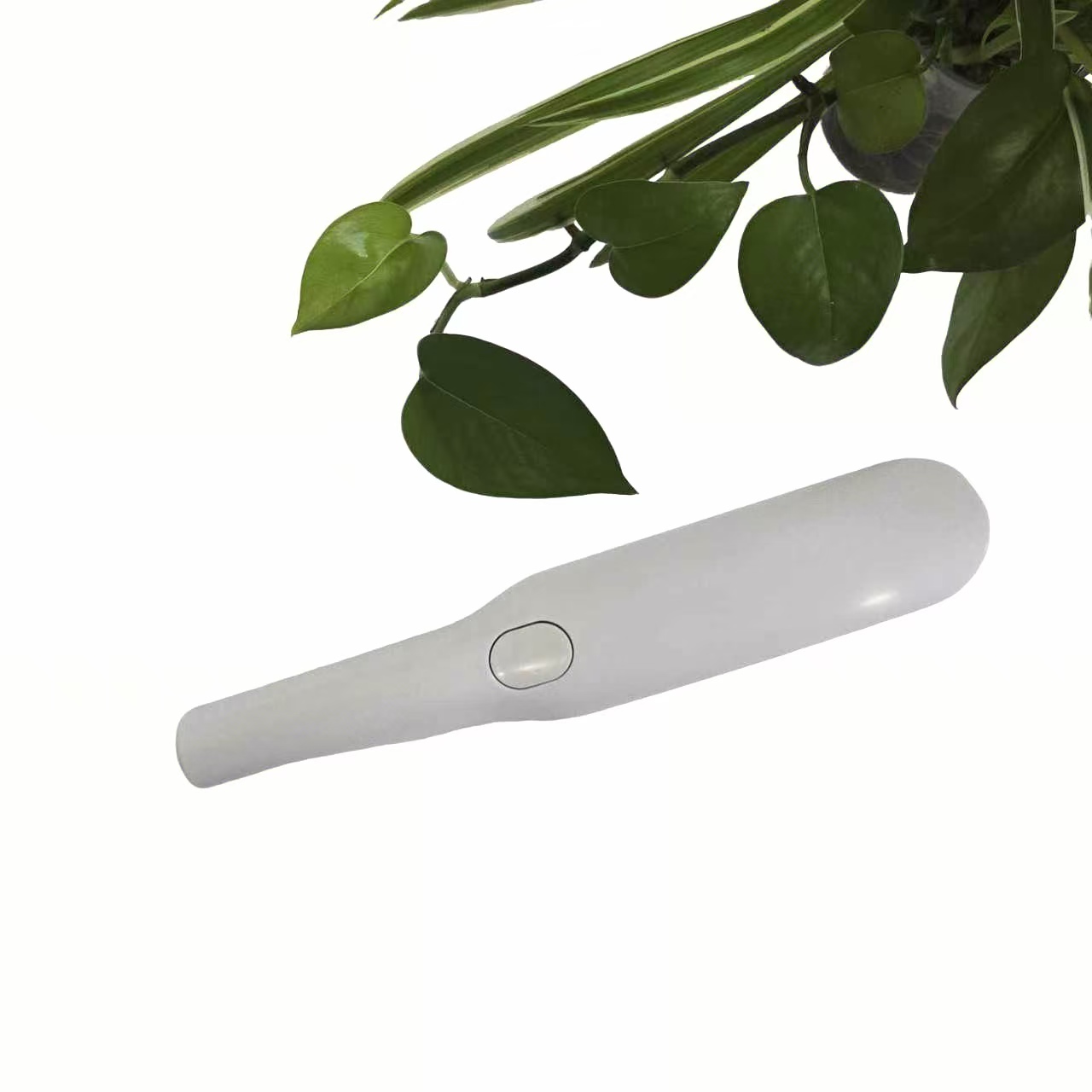 pet shouer---C001-01